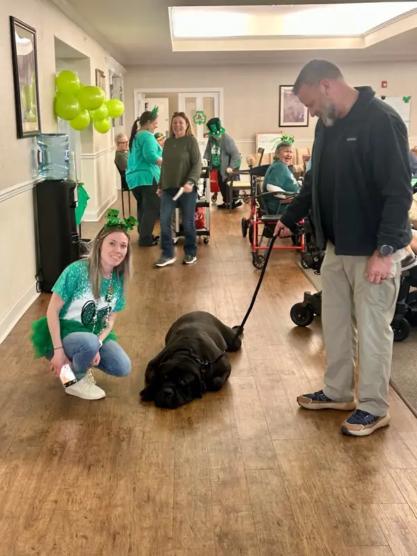 Large black dog laying on the floor